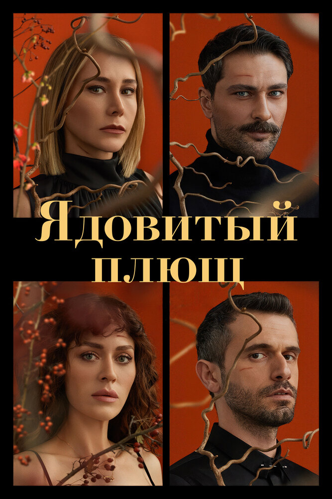 Постер