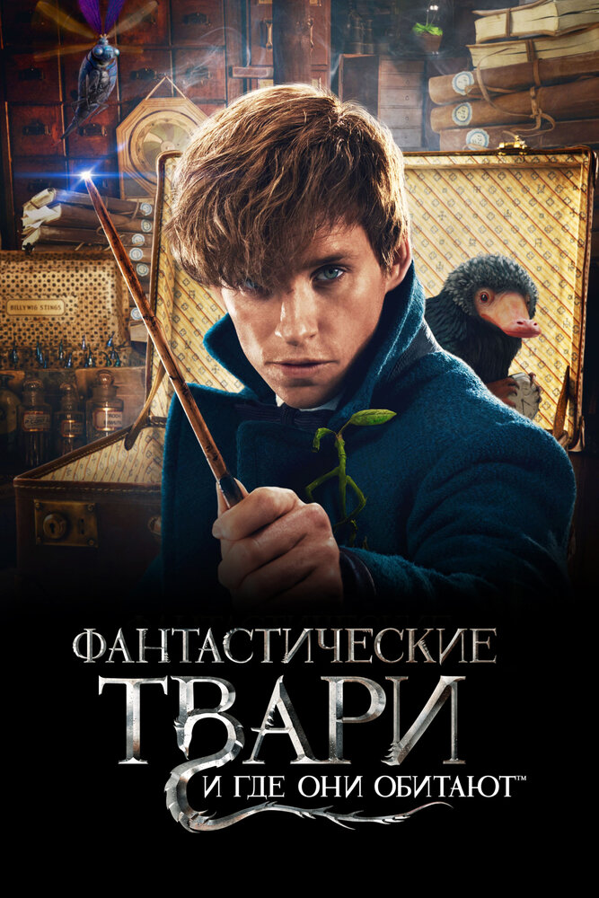 Постер