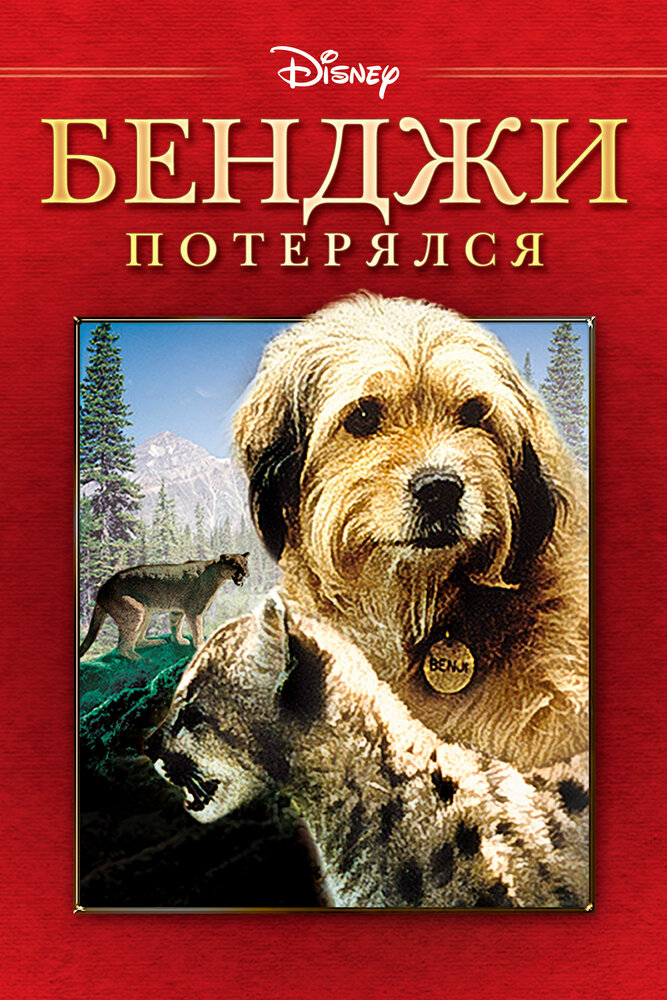 Постер