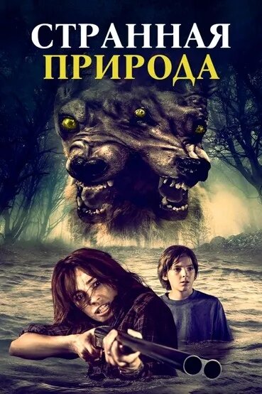 Постер